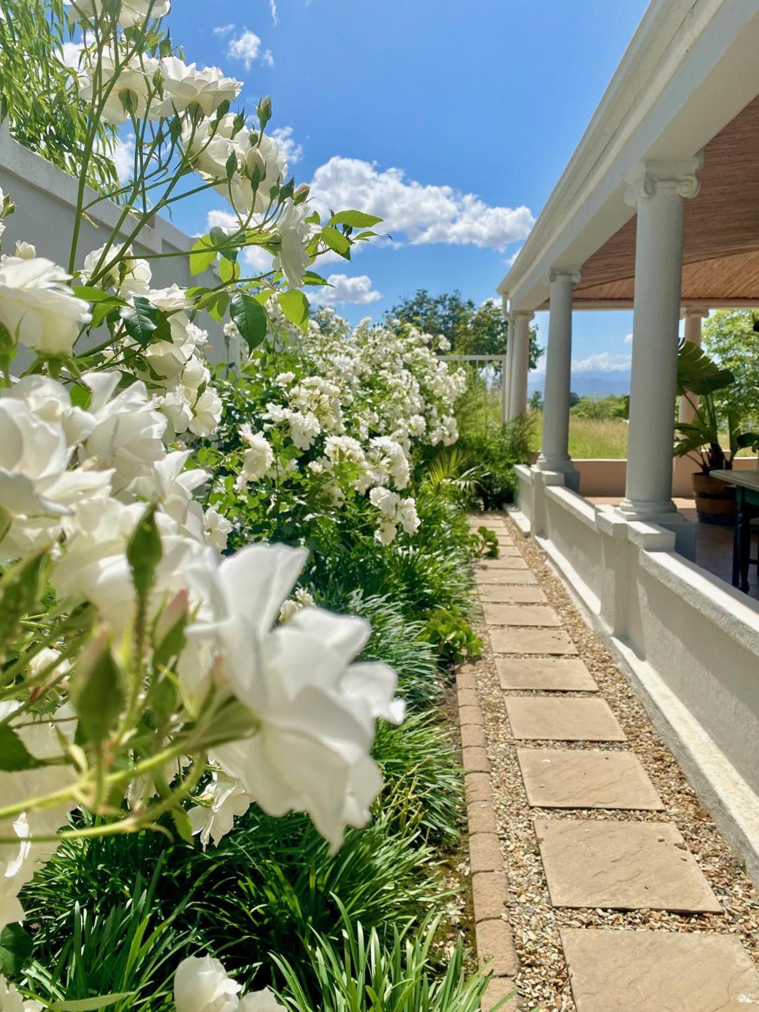 1 Royal Street Guesthouse Riebeek-Kasteel Exterior foto